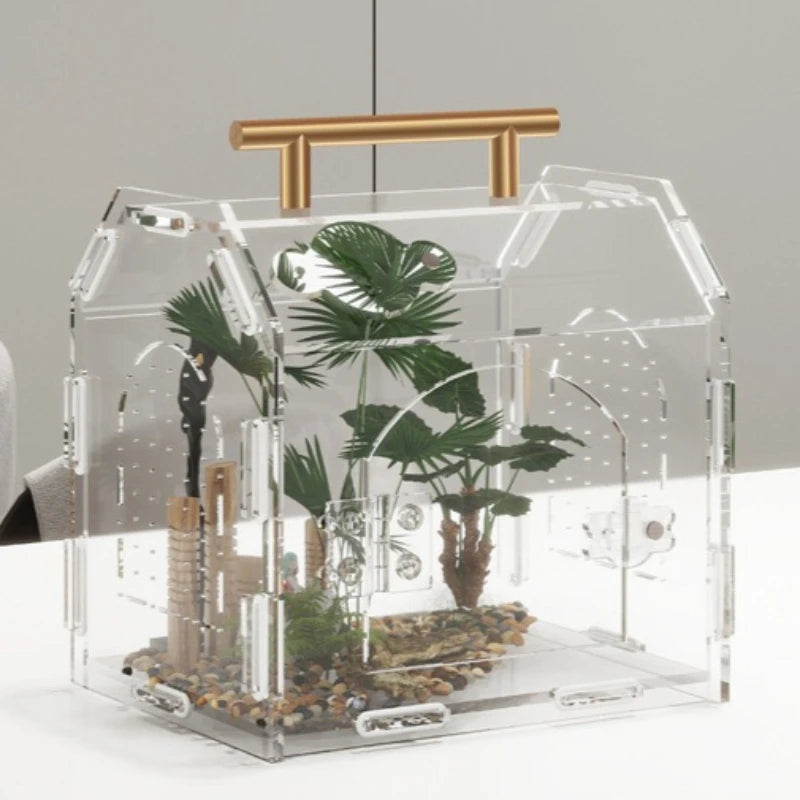 Terrarium portable en acrylique pour petits reptiles et insectes
