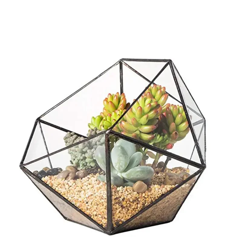 Terrarium géométrique en verre noir pour plantes et décoration
