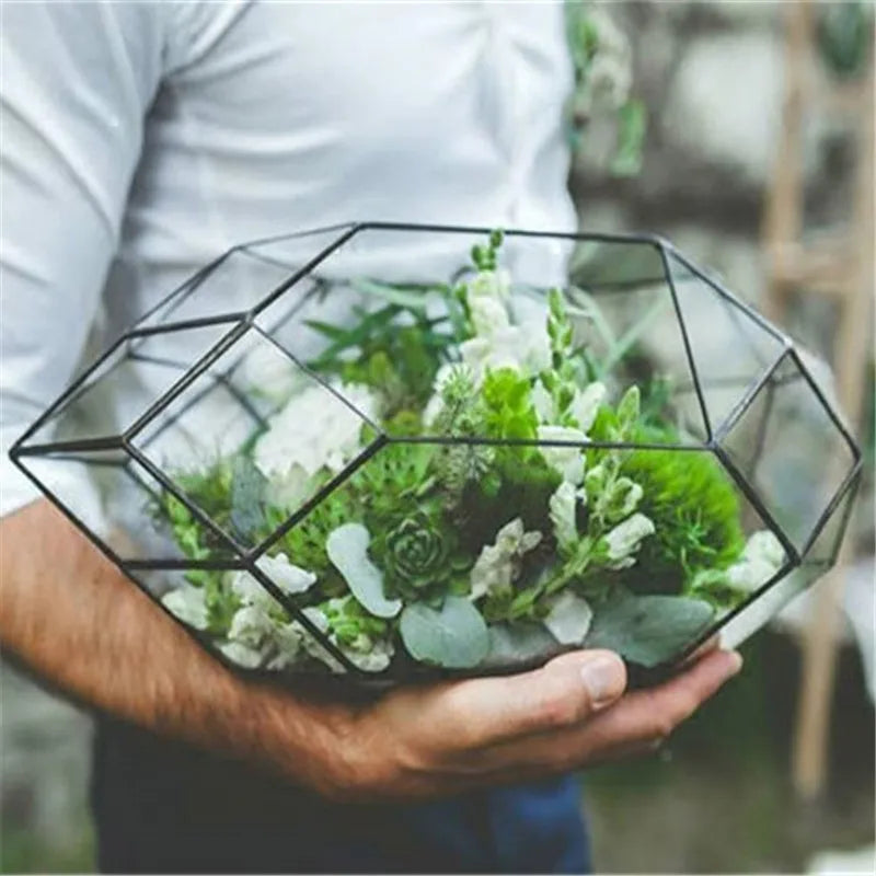 Terrarium géométrique en verre fait main pour plantes